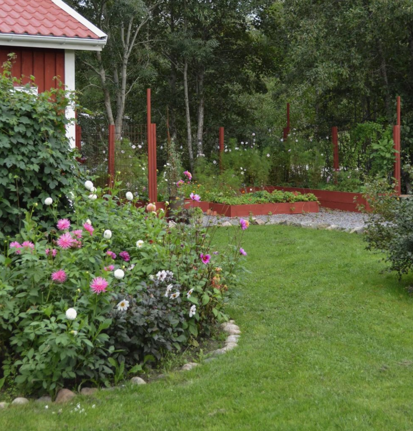 trädgård